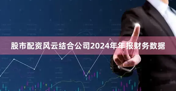 股市配资风云结合公司2024年年报财务数据