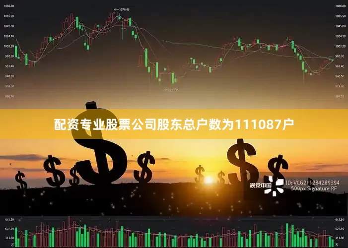 配资专业股票公司股东总户数为111087户